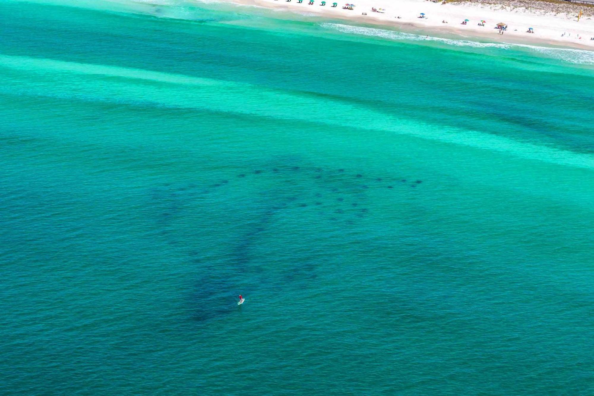 Ariel Dunes I 2207 Destin Exteriér fotografie
